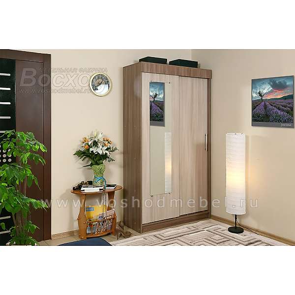 Купить шкаф-купе двухдверный кх2/42/1з холл - 11 476 руб.