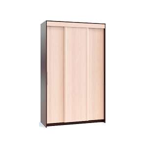 Шкаф-купе ШР-156.3
