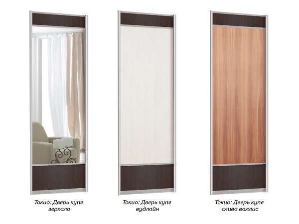 Купить шкаф-купе 2х дверный токио - 32 157 руб.