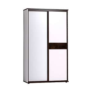 Шкаф-купе 303 Норвуд