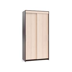 Шкаф-купе ШР-126.2