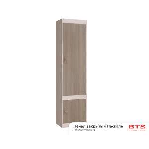 Пенал закрытый Паскаль