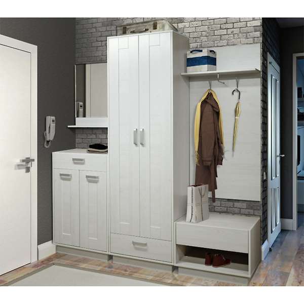 Купить шкаф для одежды двухдверный визит-6 квадро - 17 390 руб.