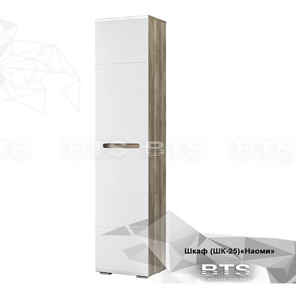 Купить шкаф наоми шк-25 - 10 111 руб.