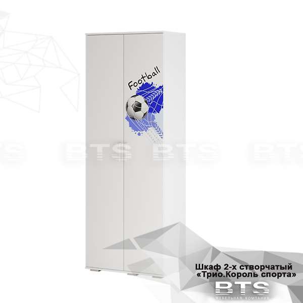 Купить шкаф для одежды трио шк-09 король спорта - 13 483 руб.