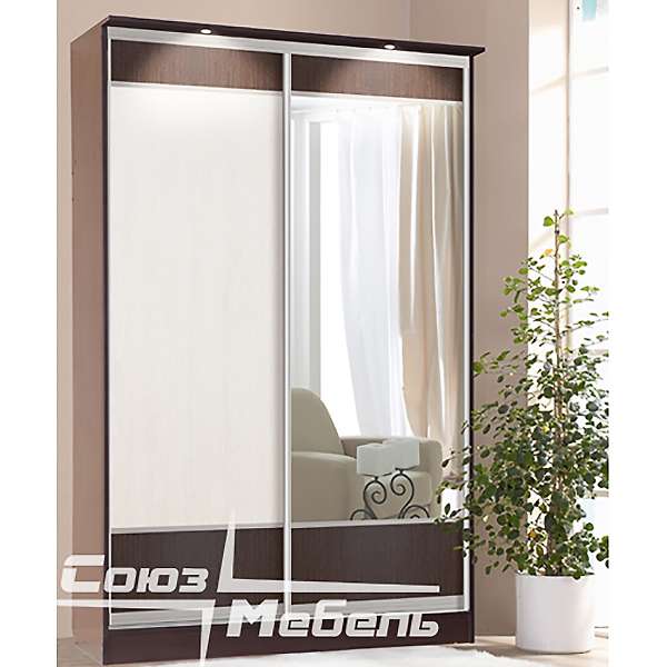 Купить шкаф-купе 2х дверный токио - 32 157 руб.