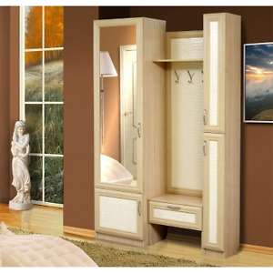 Шкаф МЦН Vip-7 Визит-16