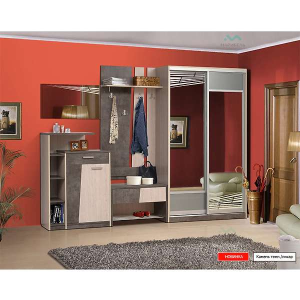 Купить шкаф-купе двухдверный 1200 визит-14 вп-2 - 42 750 ₽