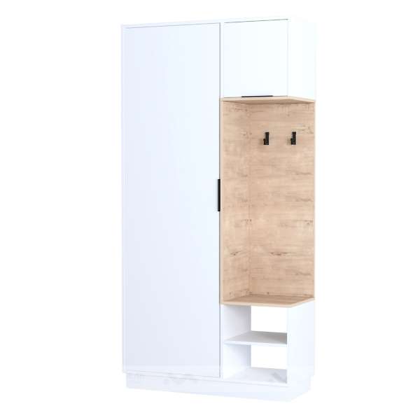 Купить шкаф комбинированный в3-1 loft визит-3 - 18 350 руб.