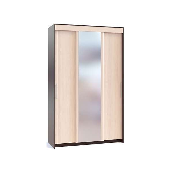 Купить шкаф-купе шр-156.2 - 19 250 руб.