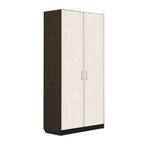 Шкаф двухдверный Токио 