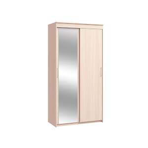 Шкаф-купе двухдверный Топ-Лайн