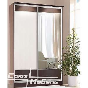 Шкаф-купе 2х дверный Токио