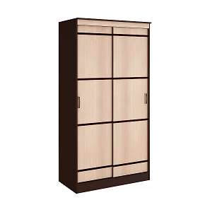 Шкаф-купе двухдверный Сакура