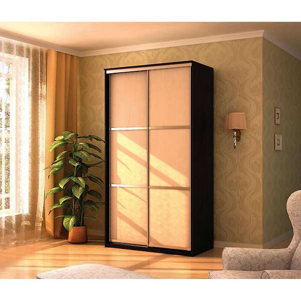 Купить шкаф-купе де-люкс 1200 двери 1 - 15 385 руб.