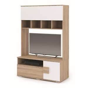 Центральная секция Афина ТВ 111